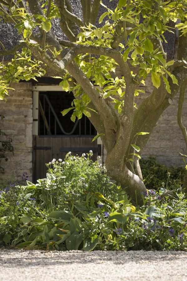 The Old Manor House Bed & Breakfast Halford  Екстериор снимка